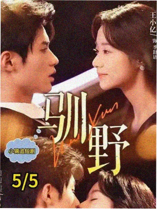 blood c剧场版 TV版画面回顾